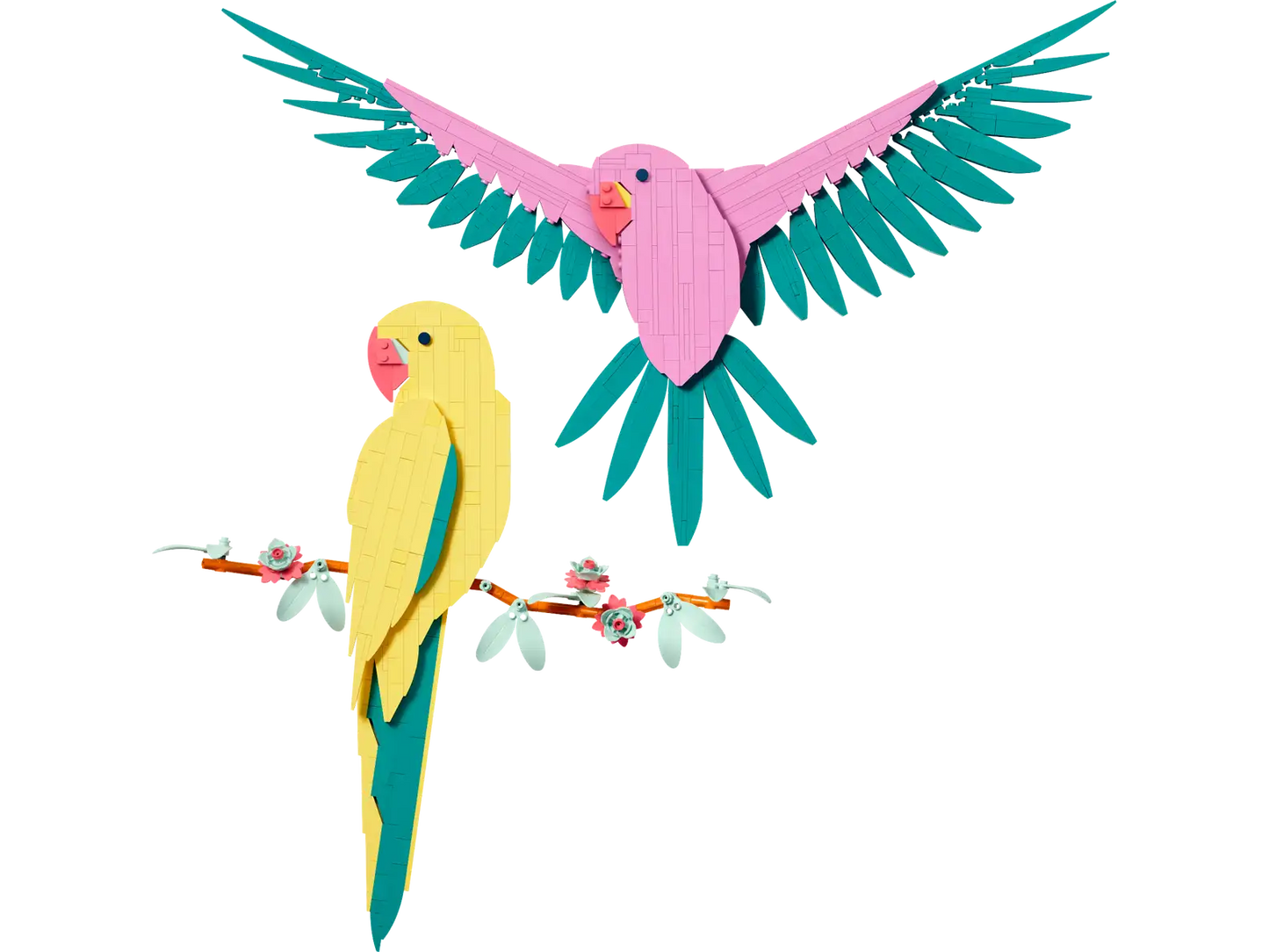 Lego Macaw Parrots (31211) Used